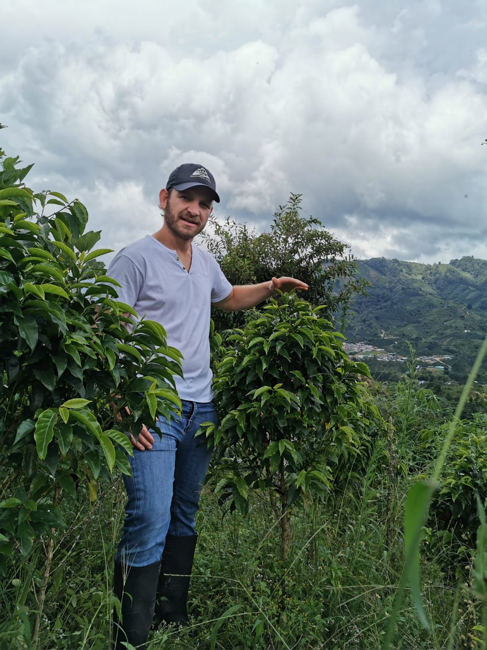 Sebastian Ramirez pink bourbon coffee beans