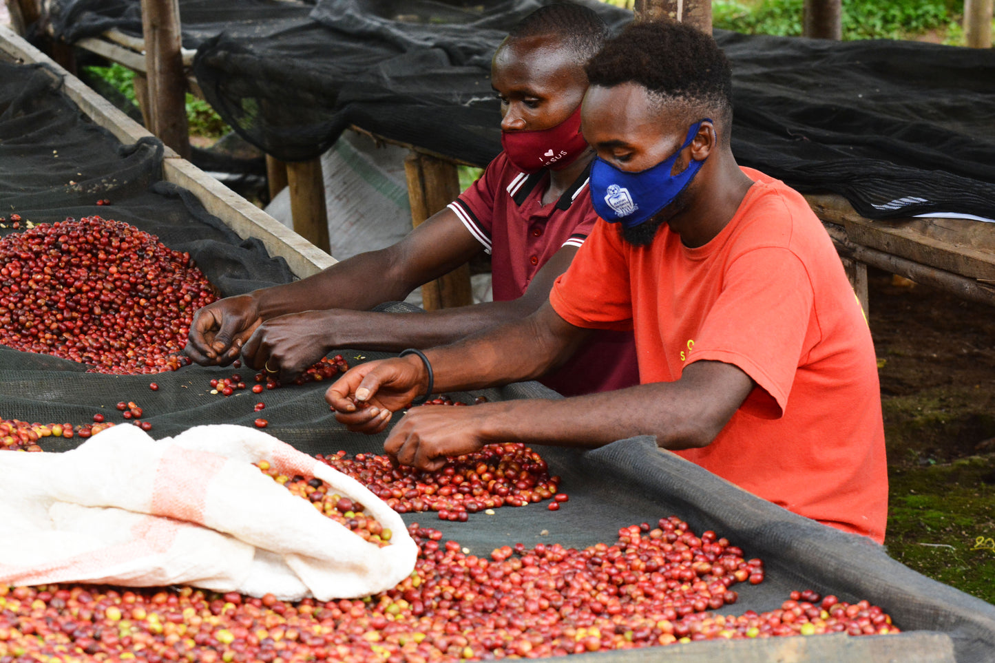 Rwanda | Nyamasheke + Nyaruguru | Ukuri | Anaerobic Natural