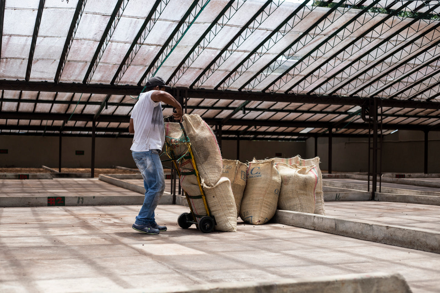 Colombia | El Placer | Mango Co-Ferment