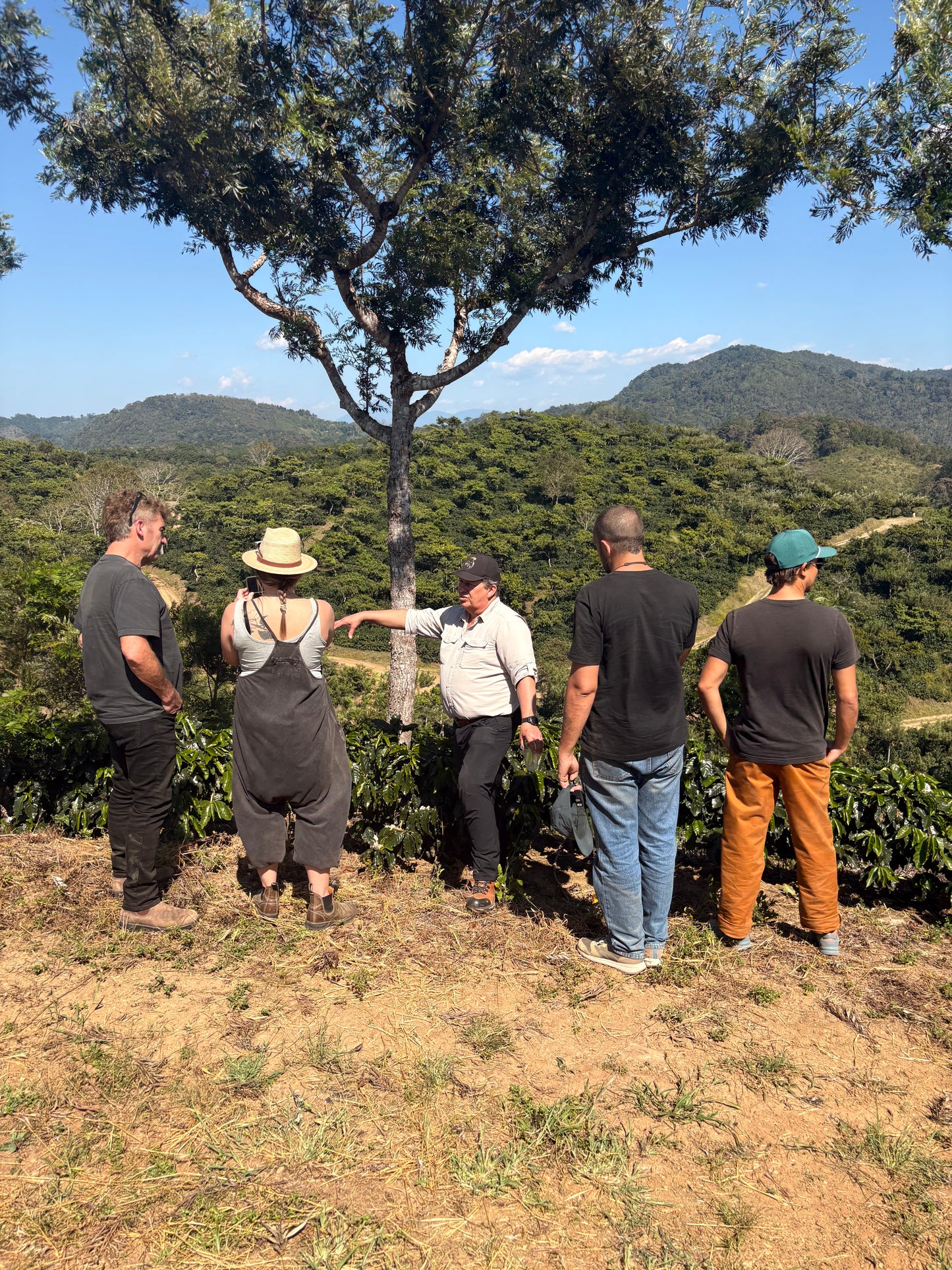 Guatemala | Finca Carrizalito | Washed