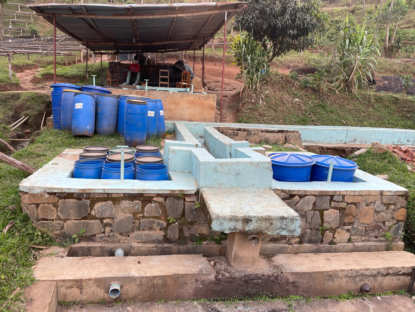 Rwanda | Nyamasheke + Nyaruguru | Ukuri | Anaerobic Natural