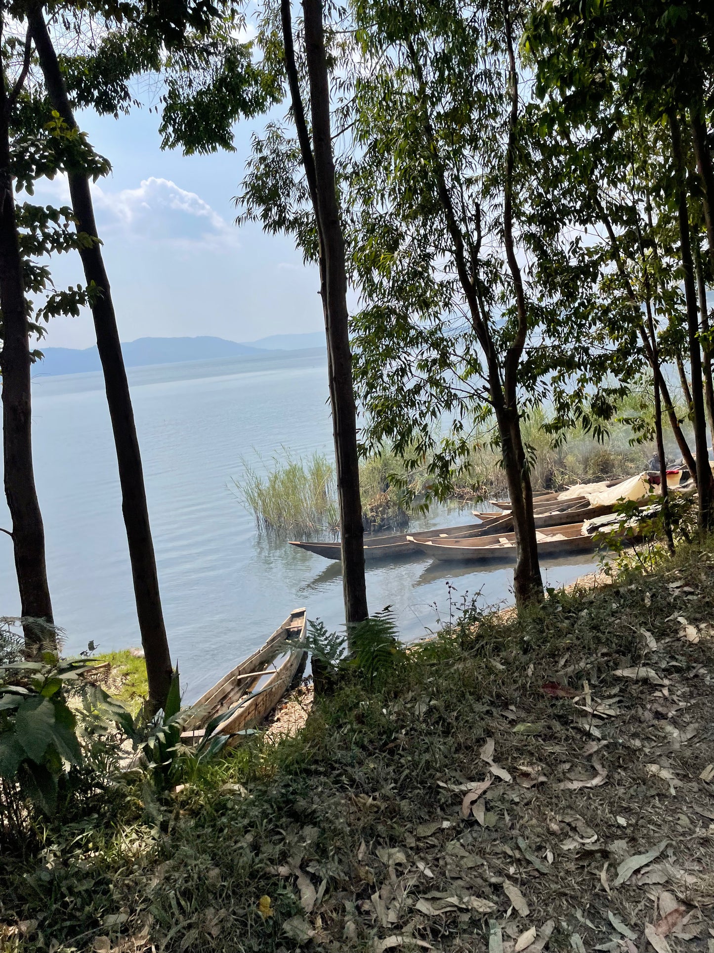 Rwanda | Nyamasheke | Ngoma Bikunda Island | Natural