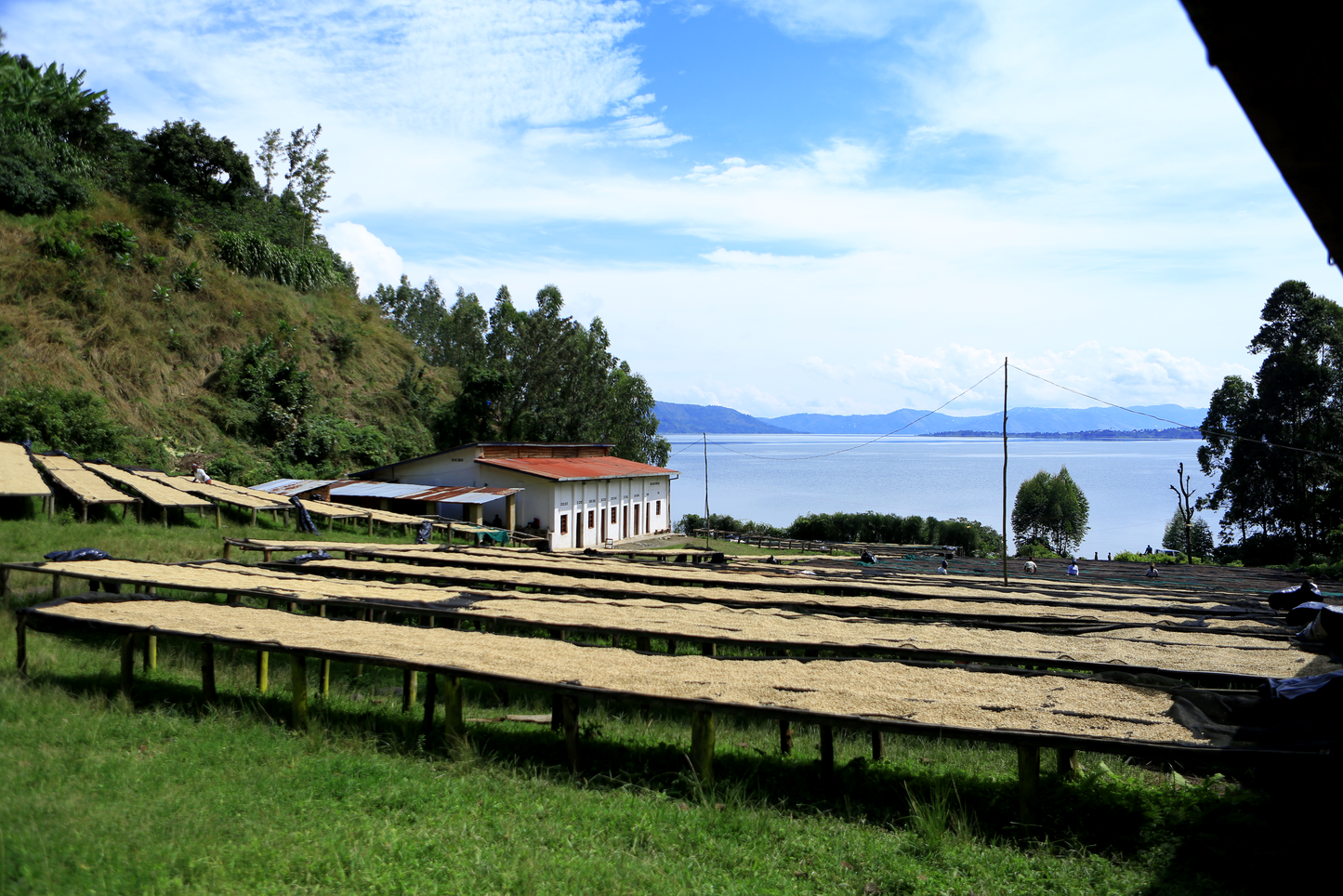 Rwanda | Nyamasheke | Ngoma Bikunda Island | Natural