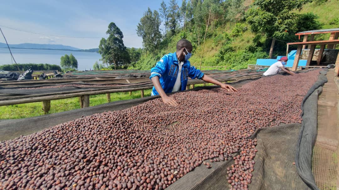 Rwanda | Nyamasheke | Ngoma Bikunda Island | Natural