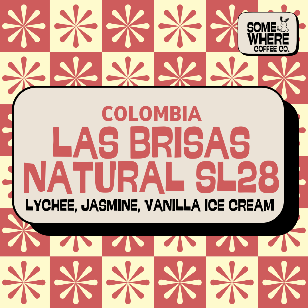 Colombia | Las Brisas | SL28 Natural