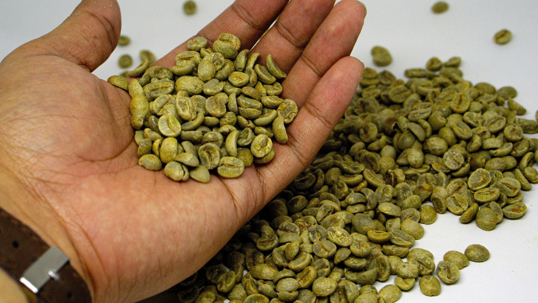 Dialing It In: What Happens Before a Coffee Reaches Somewhere