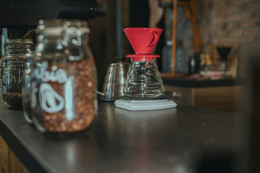 Finding Your Somewhere: Choosing a Coffee That Feels Like You
