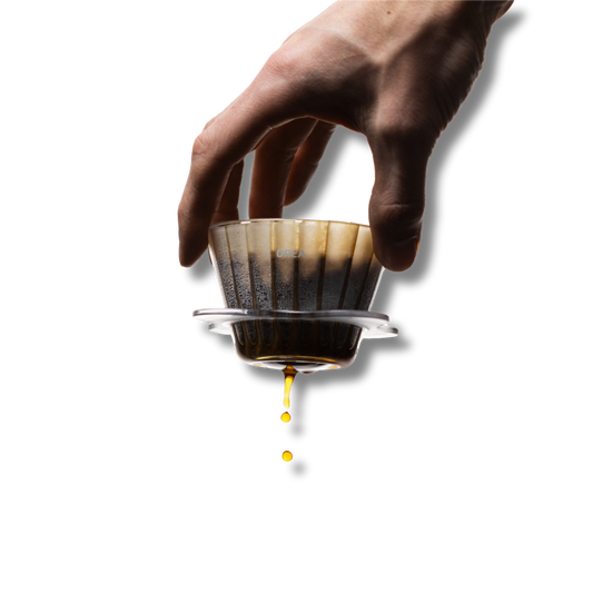 Orea - O1 Brewer (Baby O)