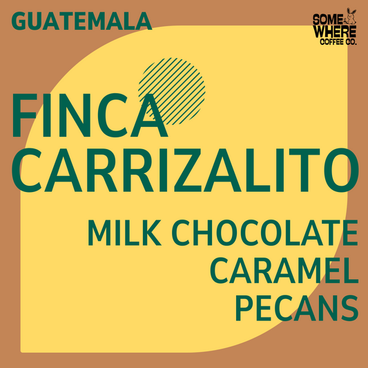 Guatemala | Finca Carrizalito