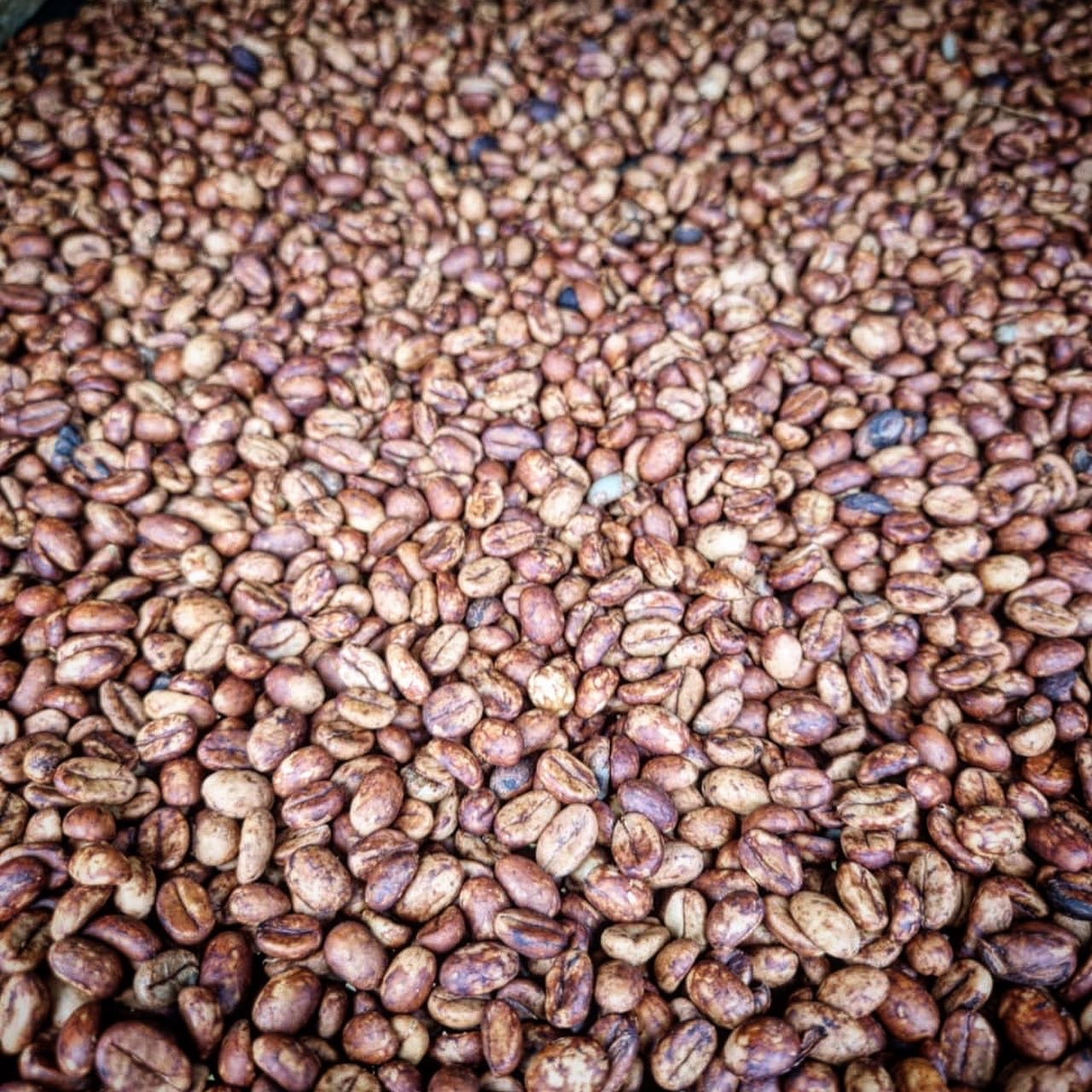 Colombia | La Marquesa | Castillo Washed