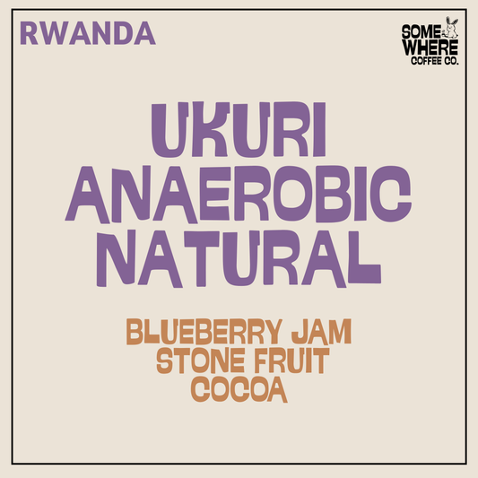 Rwanda | Nyamasheke + Nyaruguru | Ukuri | Anaerobic Natural