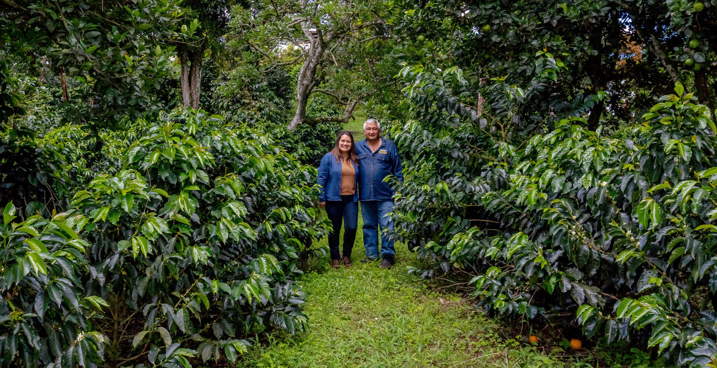 Colombia | Patio Bonito | Natural