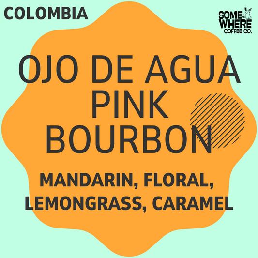 Colombia | Ojo de agua Pink Bourbon