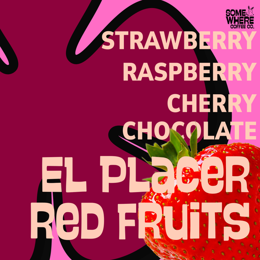 Colombia | El Placer Red Fruits