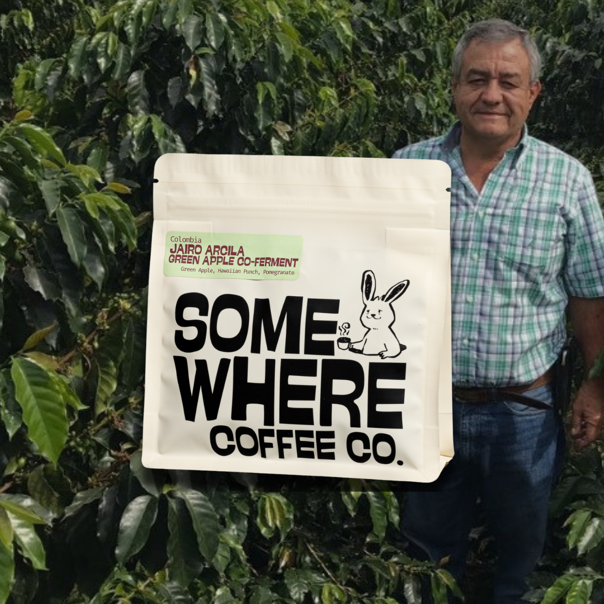 Colombia | Jairo Arcila | Green Apple Co-Ferment