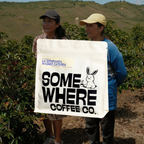 Colombia | La Esperanza | Washed Caturra