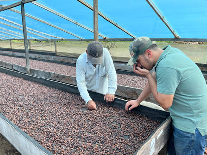 Colombia | Las Brisas | Ombligon Natural