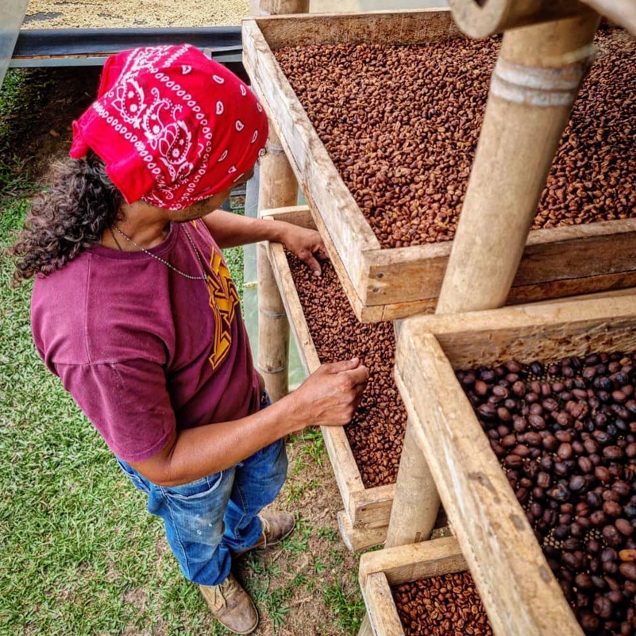 Colombia | La Marquesa | Castillo Washed