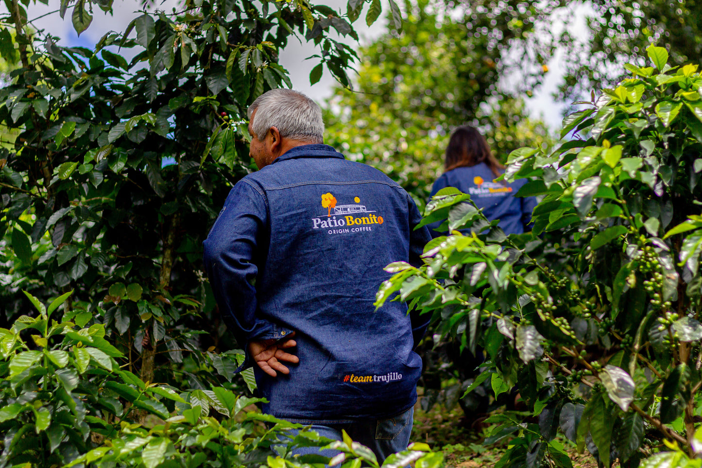 Colombia | Patio Bonito | Natural