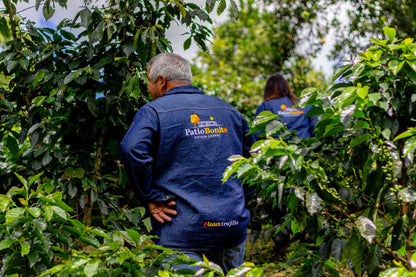 Colombia | Patio Bonito | Natural