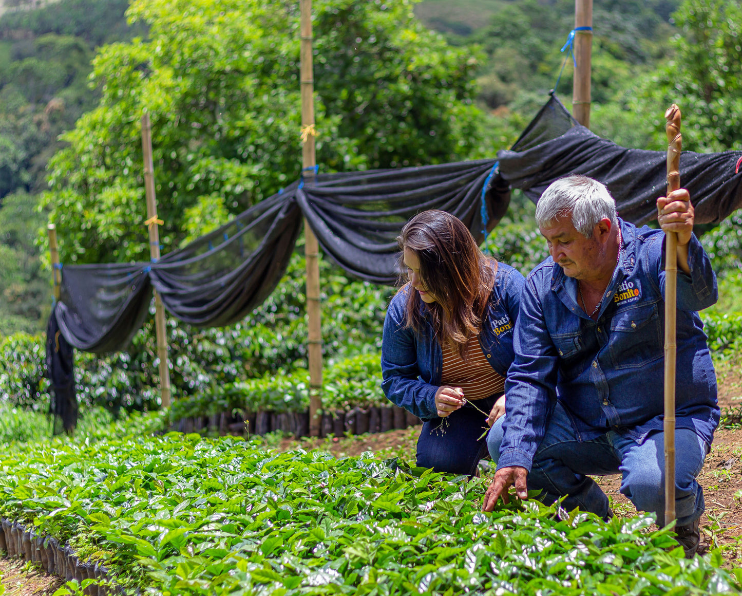 Colombia | Patio Bonito | Natural