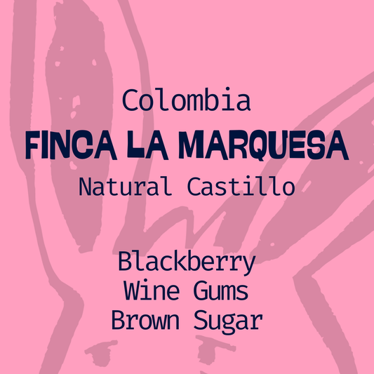 Colombia | La Marquesa | Castillo Natural