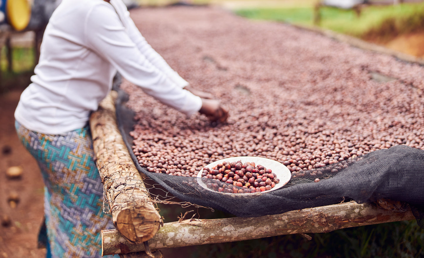 Rwanda | Nyamasheke + Nyaruguru | Ukuri | Anaerobic Natural