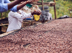 Rwanda | Nyamasheke + Nyaruguru | Ukuri | Anaerobic Natural