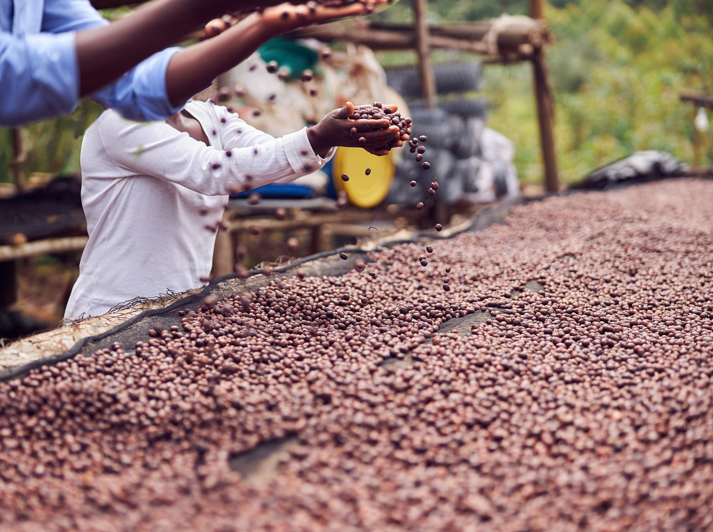 Rwanda | Nyamasheke + Nyaruguru | Ukuri | Anaerobic Natural