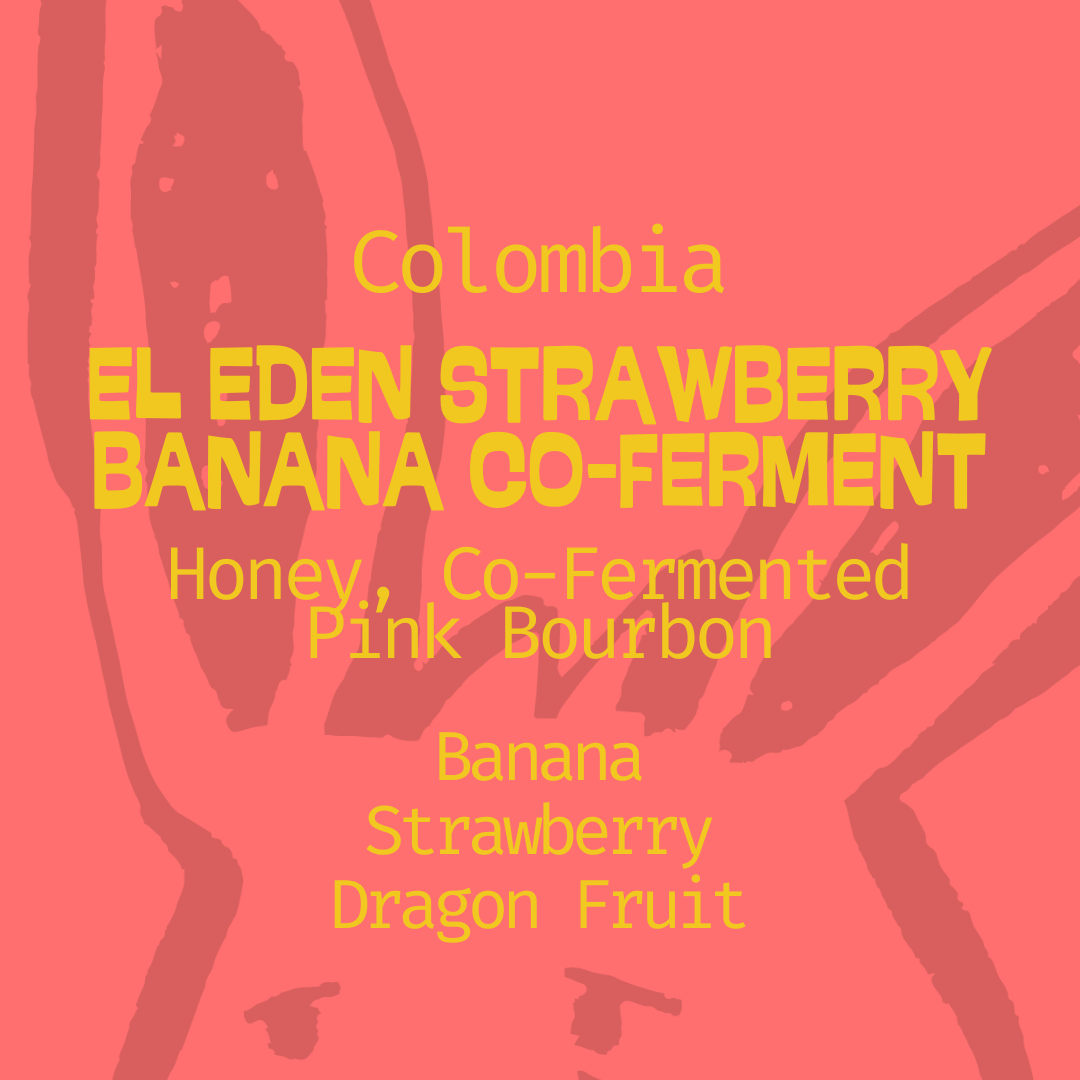 Colombia, El Eden : Strawberry Banana, Co-Ferment in Edmonton, Canada.