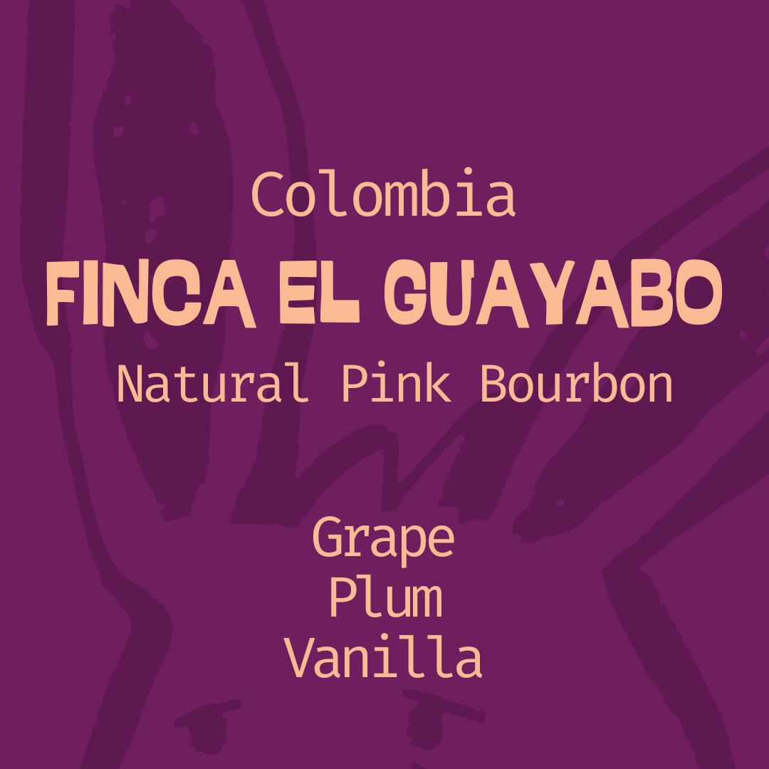 Colombia, Finca El Guayabo: Natural Pink Bourbon in Edmonton, Canada