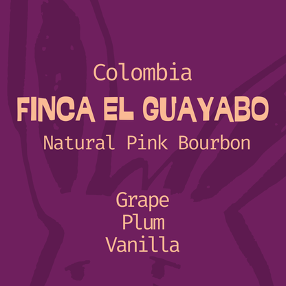 Colombia | Finca El Guayabo | Pink Bourbon Natural