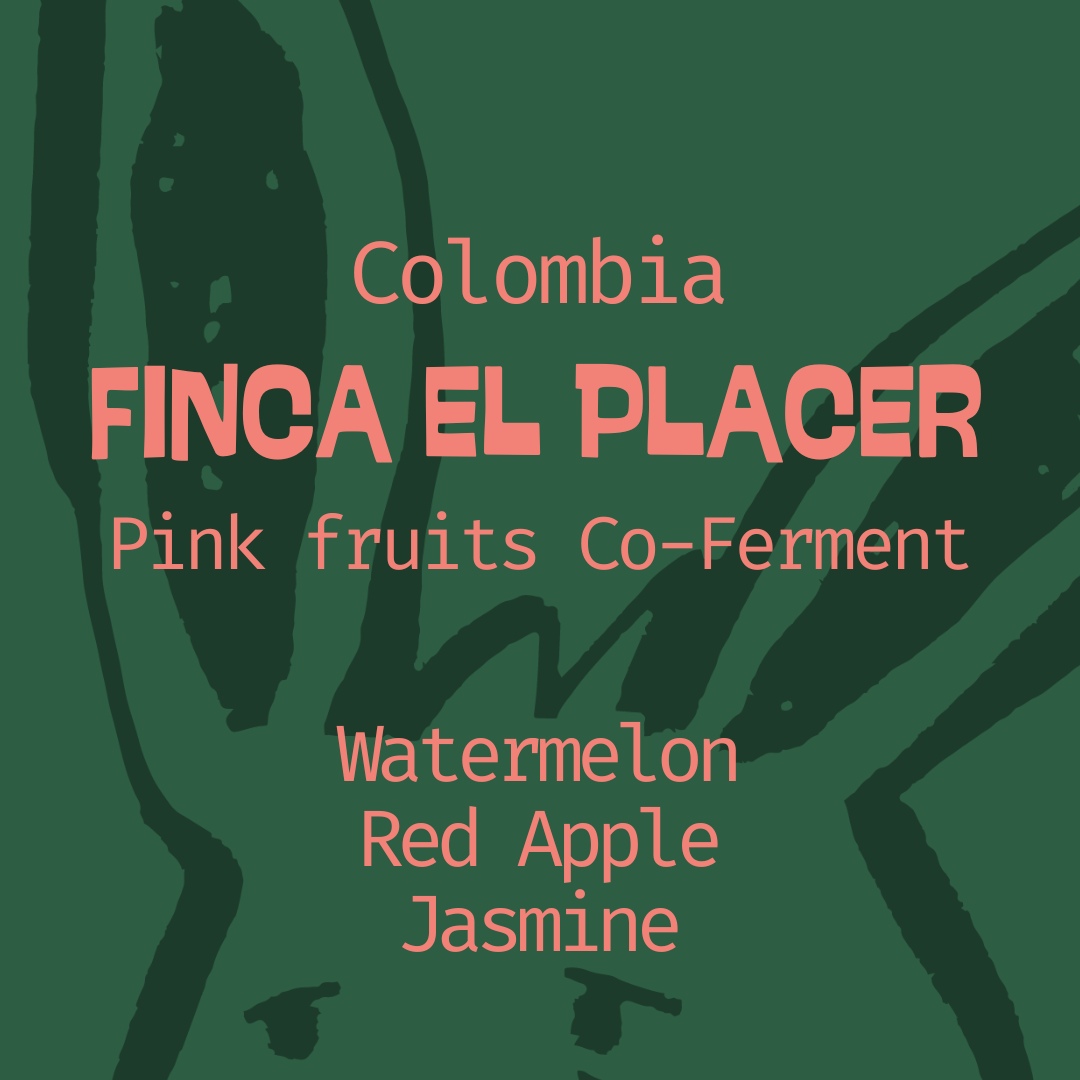Colombia, Finca El Placer: Pink Fruits Co-Ferment in Edmonton, Canada