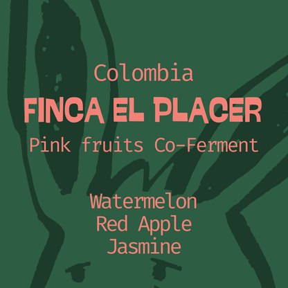 Colombia, Finca El Placer: Pink Fruits Co-Ferment in Edmonton, Canada