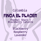Colombia, Finca El Placer: Thermal Shock, Blackberry Caturra in Edmonton, Canada.
