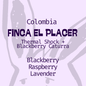 Colombia | Thermal Shock, Blackberry | Anaerobic Caturra