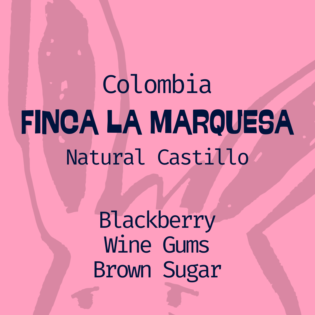 Colombia, Finca La Marquesa: Natural Castillo in Edmonton, Canada