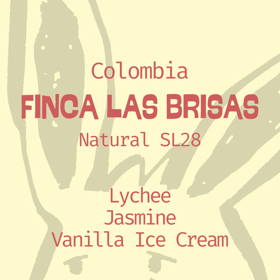 Colombia, Finca Las Brisas: Natural SL28, in Edmonton, Canada.