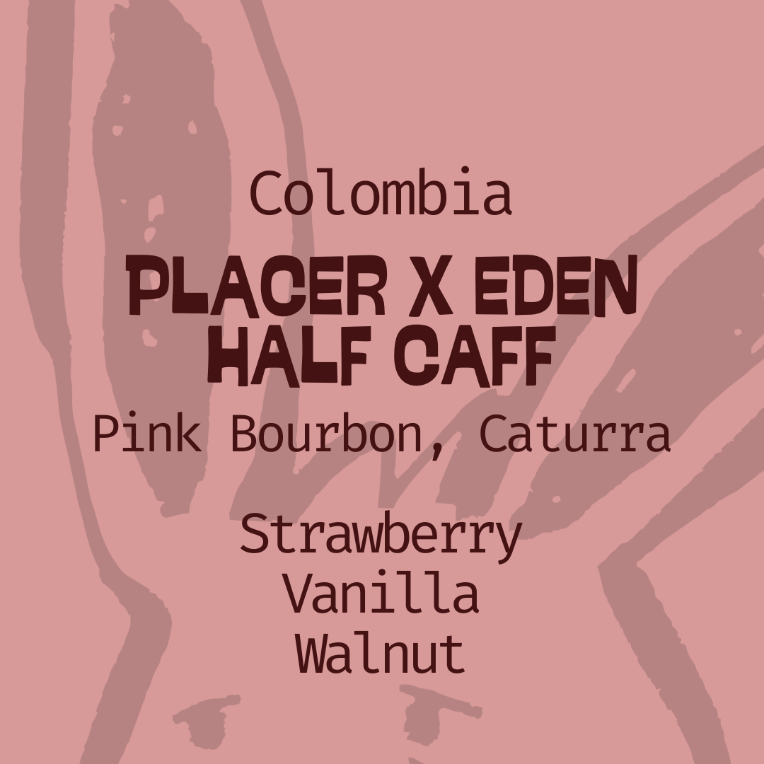 Colombia, Placer Eden: Half Caff Pink Bourbon Caturra in Edmonton, Canada