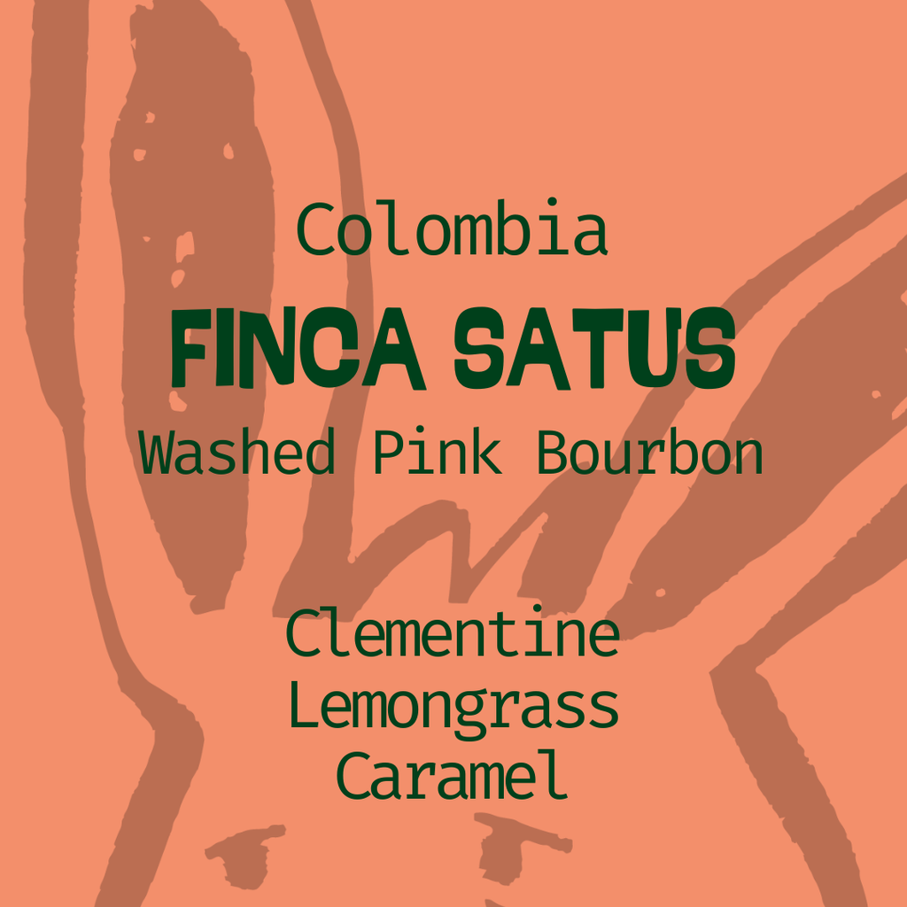 Columbia, Finca Satus: Washed Pink Bourbon in Edmonton, Canada