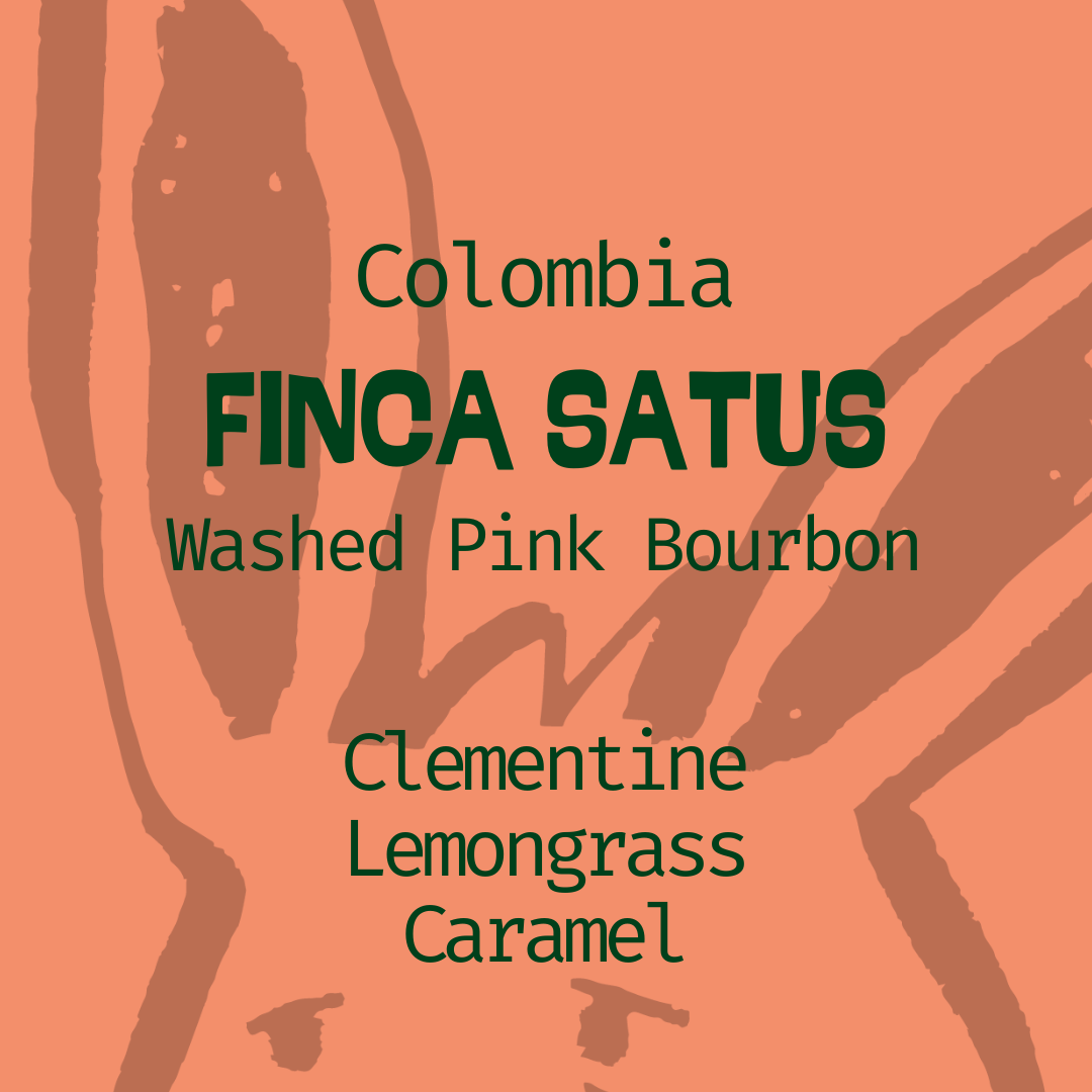 Columbia, Finca Satus: Washed Pink Bourbon in Edmonton, Canada
