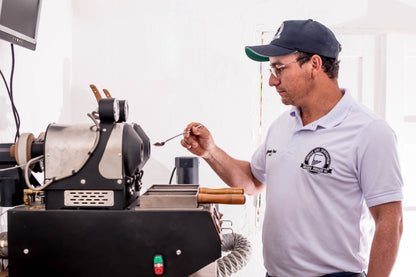 Colombia | Paraiso 92 | Gesha