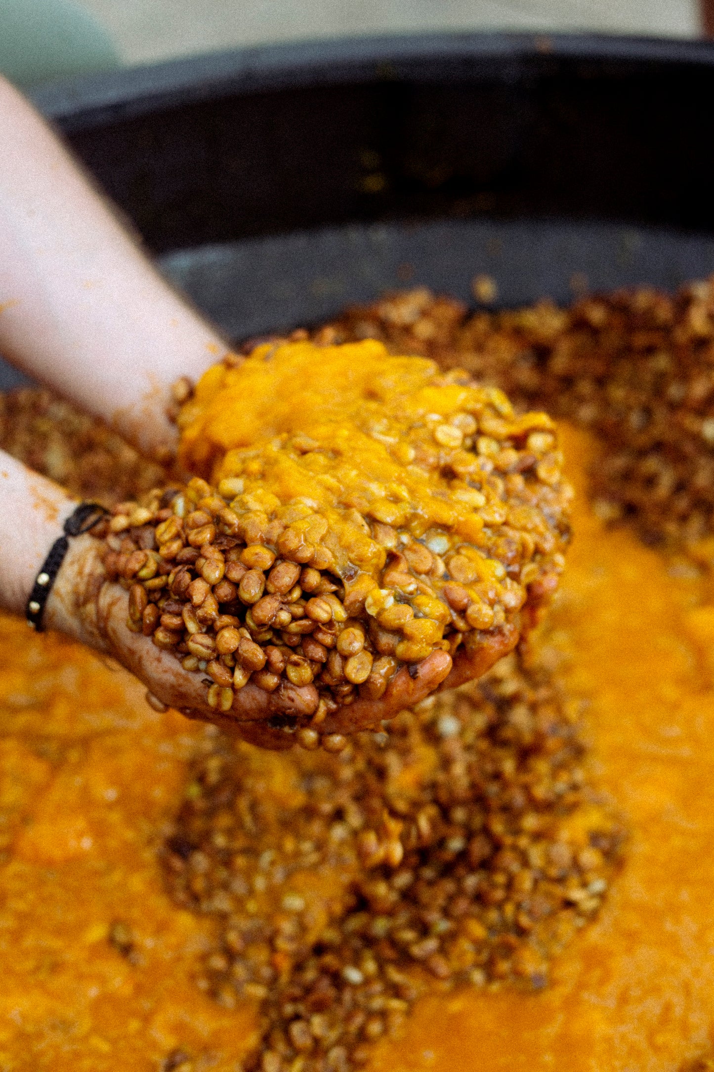 El Placer Mango Co-Fermented coffee beans