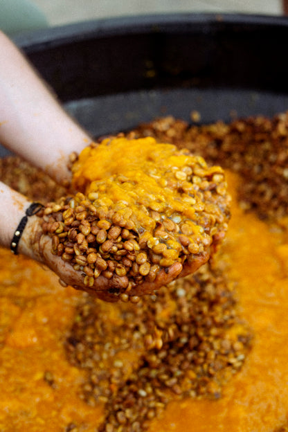 El Placer Mango Co-Fermented coffee beans