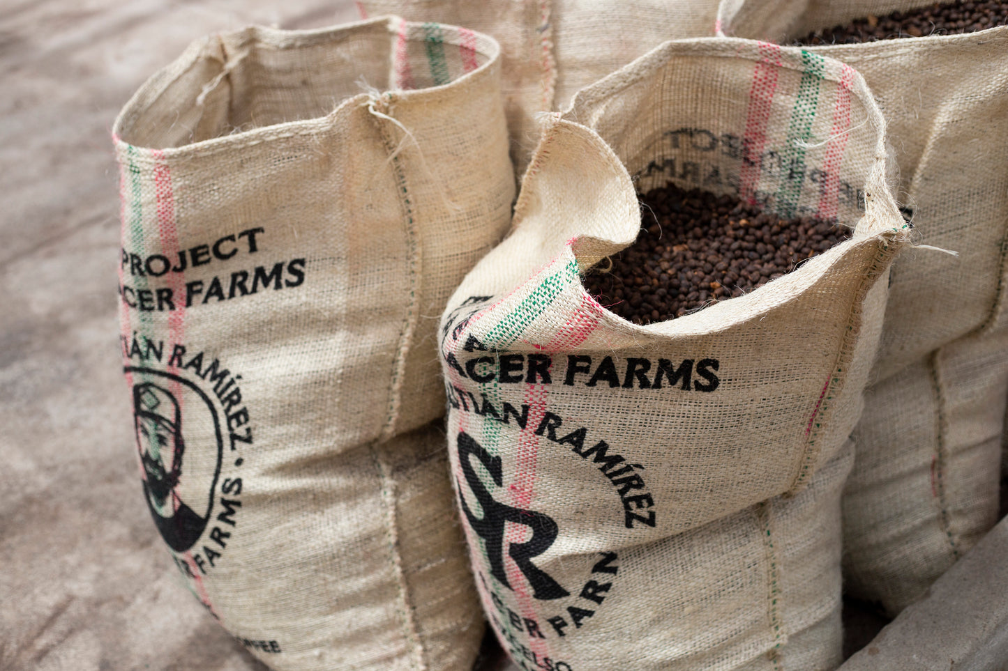 Colombia | Thermal Shock, Blackberry | Anaerobic Caturra