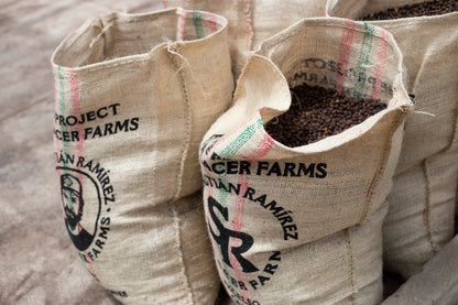 Colombia | Thermal Shock, Blackberry | Anaerobic Caturra