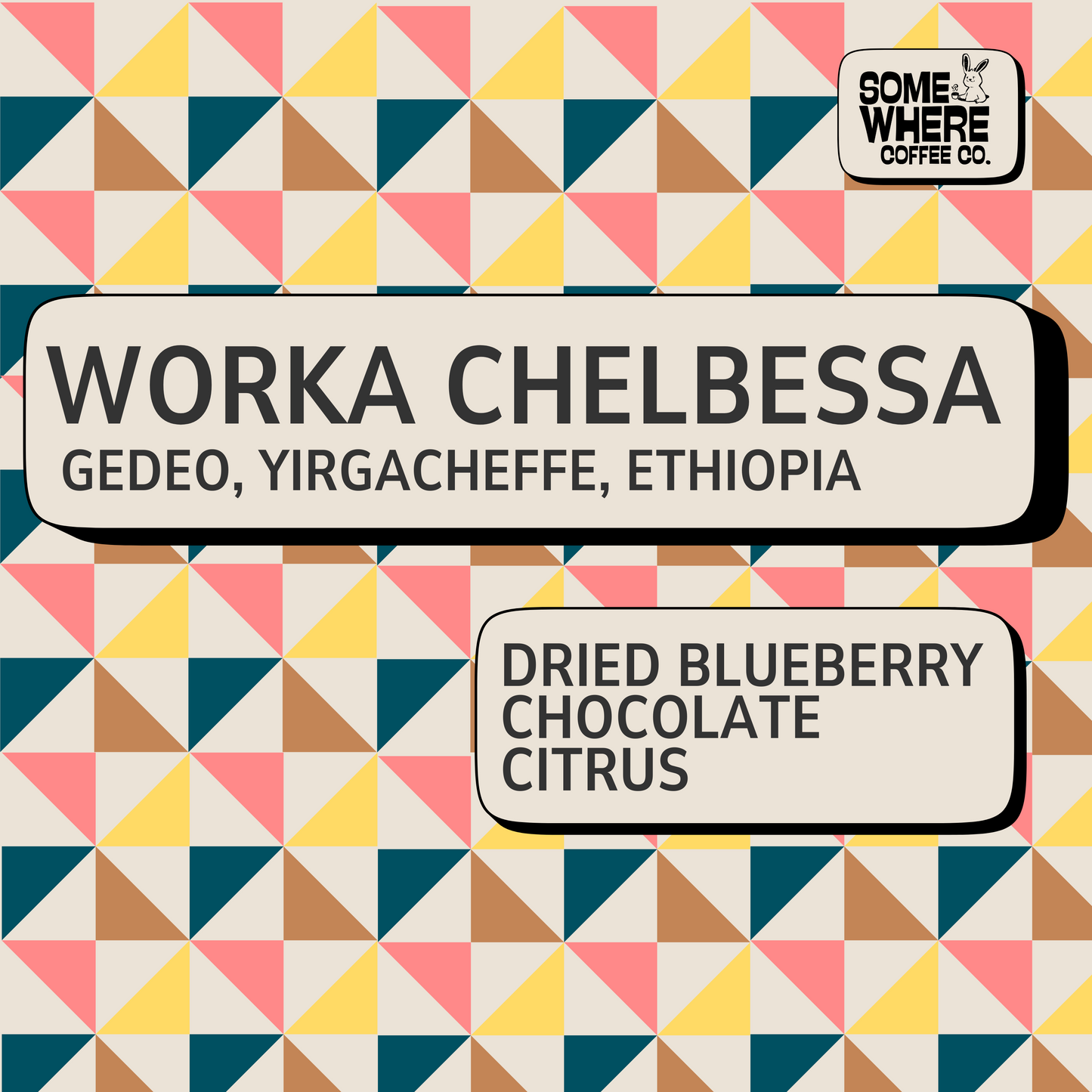 Ethiopian Yirgacheffe Coffee Beans with dried blueberry, chocolate and citrus profiles. Roasted in Canada, ship across Canada and the US