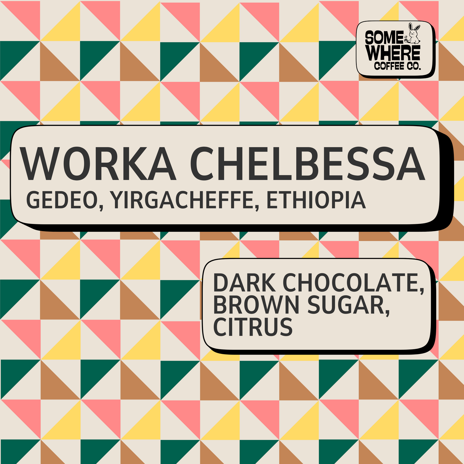Ethiopian Yirgacheffe Coffee Beans from Worka Chelbessa with dark chocolate, brown sugar and citrus notes.