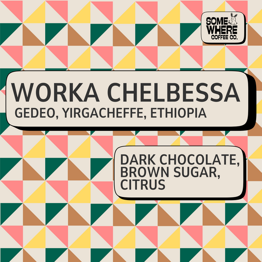 Ethiopian Yirgacheffe Coffee Beans from Worka Chelbessa with dark chocolate, brown sugar and citrus notes.