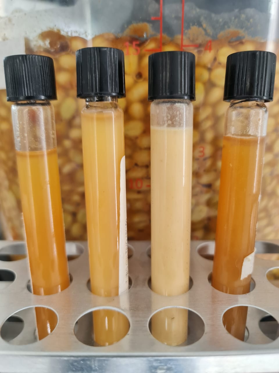 Colombia | Paraíso 92 | Orange Bourbon